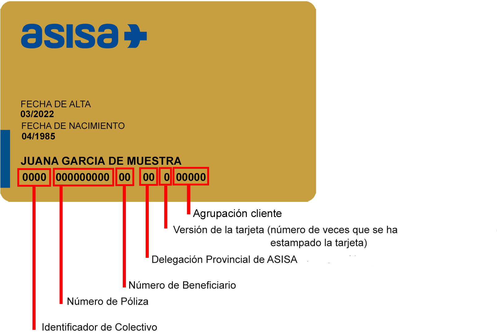 caravana Emulación rotación ¿Qué información proporciona la numeración de mi tarjeta sanitaria?
