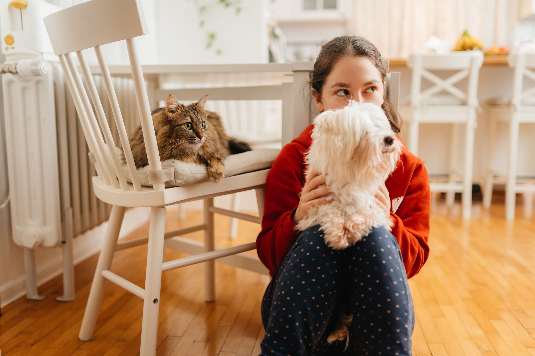 seguro para mascotas