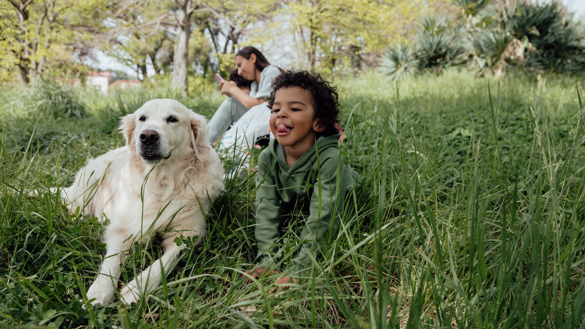 seguro de  responsabilidad civil para perros y gatos
