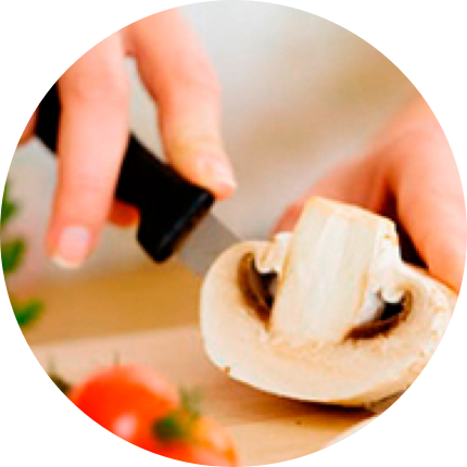 Funciones de los alimentos ASISA