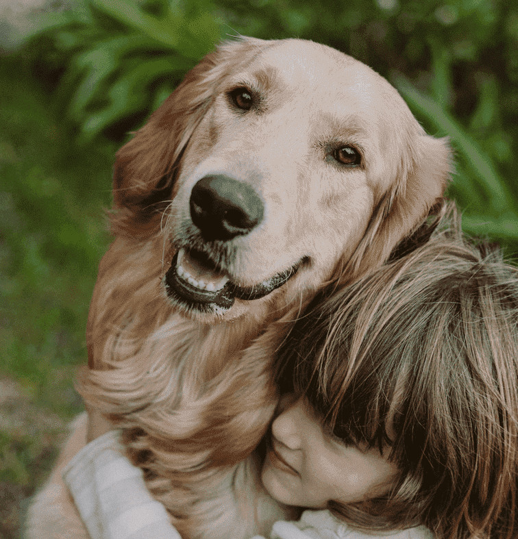 seguro para mascotas