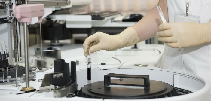 células del cordón umbilical